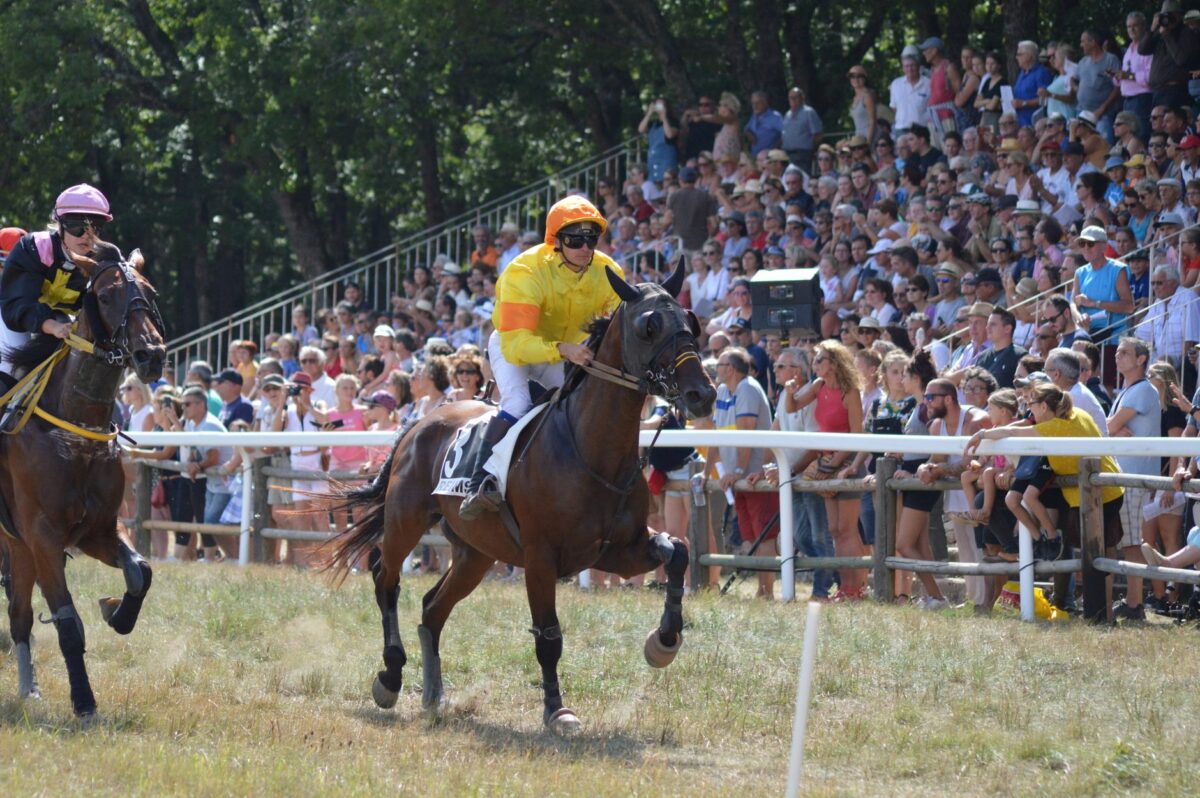 essai boulette clermont exécution touche créé