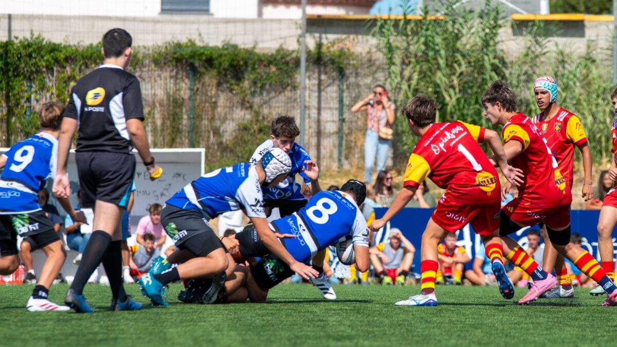 rugby top clermont expliquer résultat données